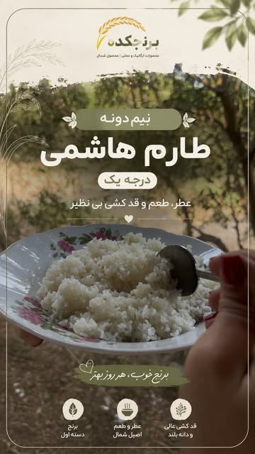 نیم‌دونه طارم هاشمی